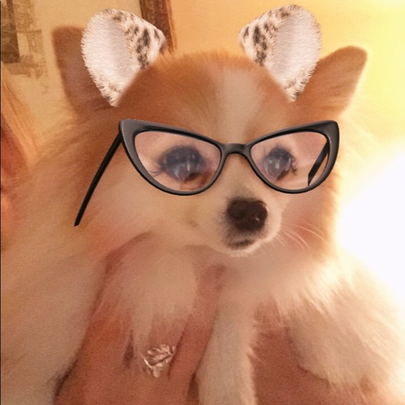 Meet your Posher, Angie - Picture 1 of 1